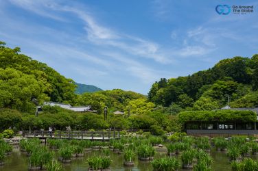 Kerala Tour Packages From Assam