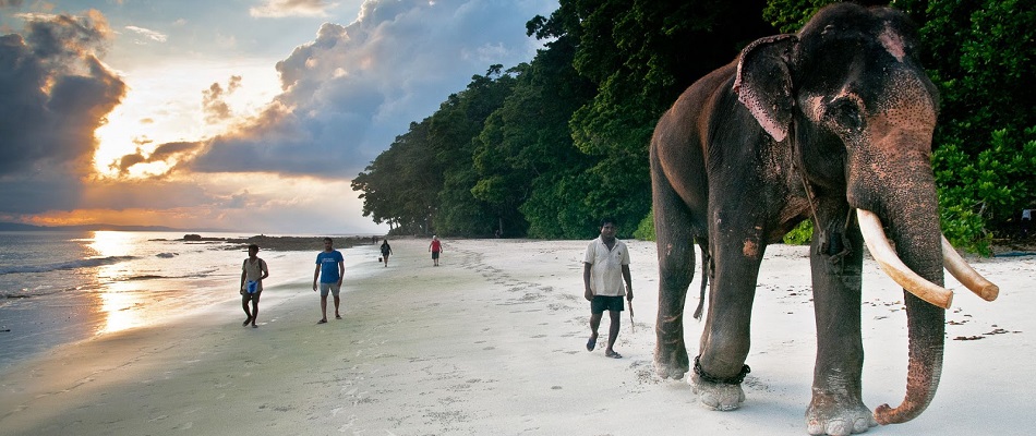 Andaman Tour package