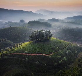 6 Days 5 Nights Kerala Bu...